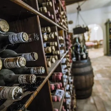 Su Gologone Experience